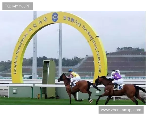 hkjc中文站：如何通过香港赛马会中文站快速了解赛马比赛规则与投注方法