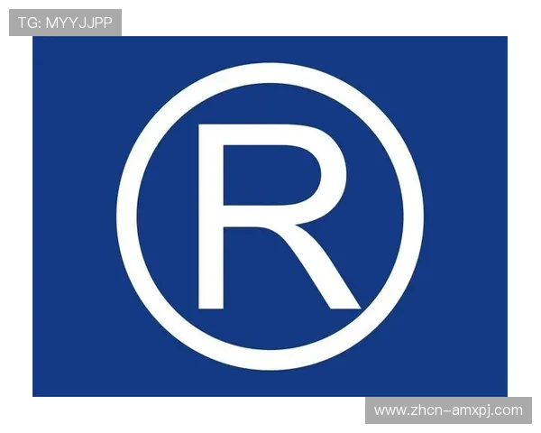 深入解析赛马会注册中心的注册流程及常见问题解决方案